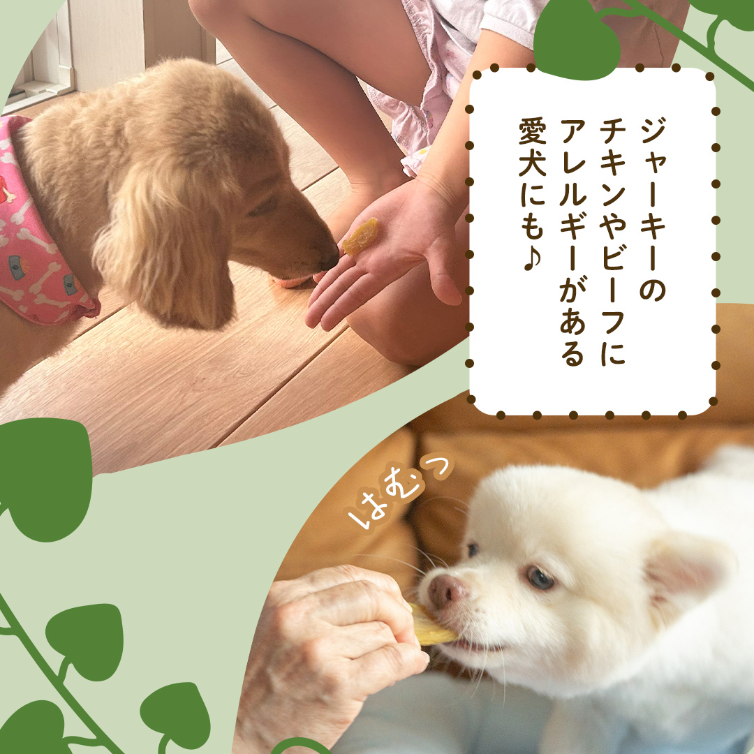 犬のおやつ 国産 干し芋 無選別 訳あり 400g (100g × 4袋) 送料無料 保存料不使用 ドックフード 国産手作り さつまいも 人気 個包装 栄養 効能 犬 わんちゃん 少量 小分け マツコ