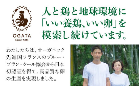 竹林かぐや姫平飼いオメガ有精卵 36個入 卵[AYBG001]