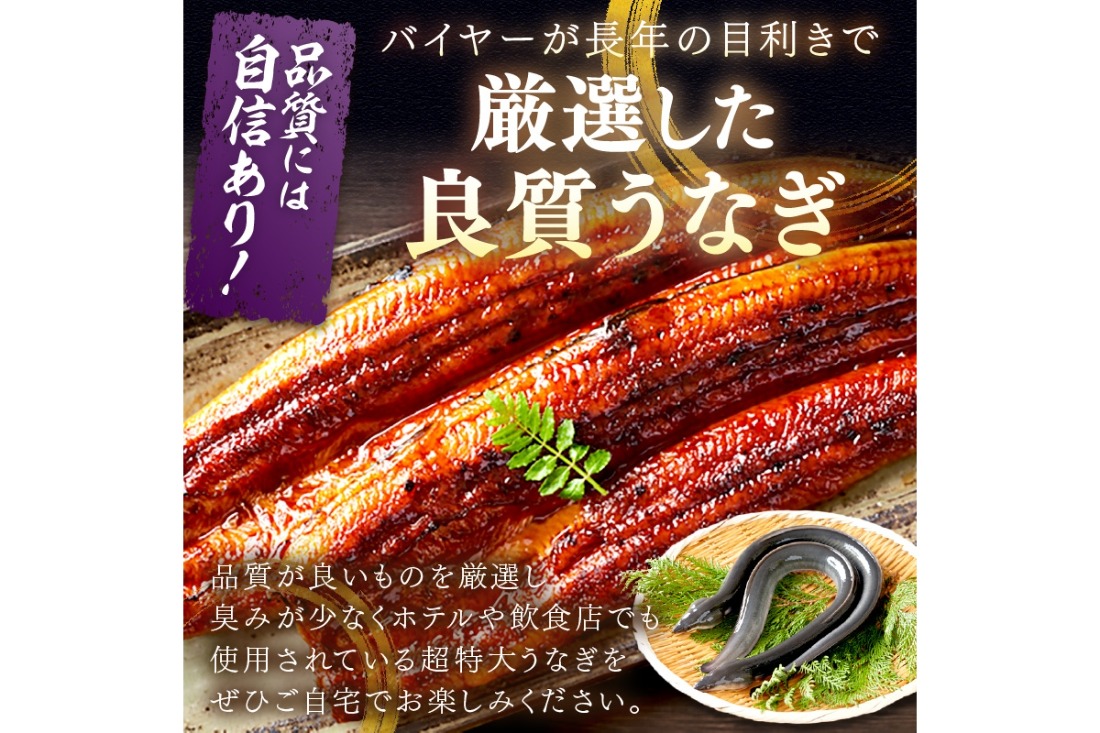 【7月30日～8月1日配送】超特大！ふっくら肉厚！うなぎ蒲焼 2尾 合計800g前後　YK00403_02