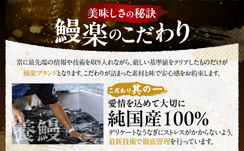 うなぎ蒲焼特大3尾(さんしょう・たれ付き)計600g以上 鰻 魚 魚介 加工品 国産_T026-0021