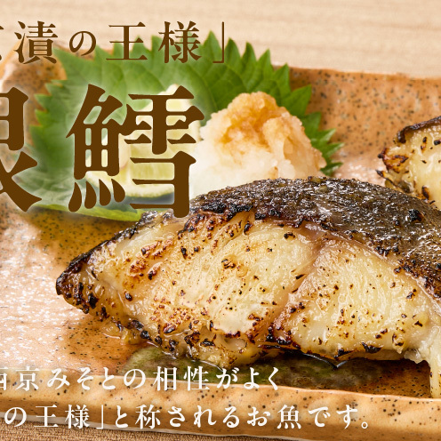 【定期便】銀鱈 西京漬け 80g×20切れ 全6回【小分け 熟成 銀だら ぎんだら ギンダラ 海産物 魚 惣菜 西京焼き 味噌 お酒のあて 訳あり サイズ不揃い 切り落とし】 G5626_イメージ2