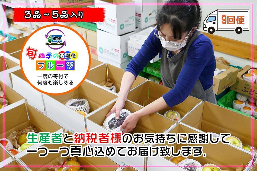 ★頒布会のためAY1228へ★【定期便9回Sサイズ】創業100年 産直あきんど四季のフルーツの定期便《9ヶ月連続でお届け》