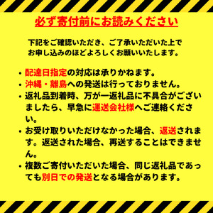 サントリープレミアムモルツ500ml缶　24本入 ※沖縄・離島配送不可