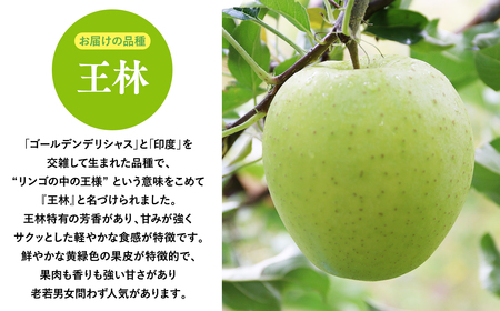 １１月～１月発送　【訳あり】家庭用王林5ｋｇ　【そと川りんご園・１１月・１２月・１月・青森県産・平川市・りんご・王林・5ｋｇ・訳あり・家庭用】