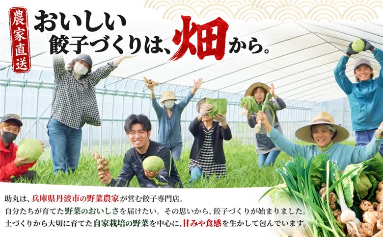 冷凍生餃子 135個 野菜しい餃子 助丸 丹波産野菜使用 大容量 兵庫県 丹波市
