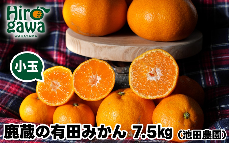 
            鹿蔵の 有田 みかん 訳あり 小玉 7.5kg 光センサー 選果 / 温州みかん 有田みかん 甘い 家庭用 和歌山 柑橘 ※11月順次発送予定 ※北海道・沖縄・離島への配送不可 【ikd004-cs-7d5-novB】
          