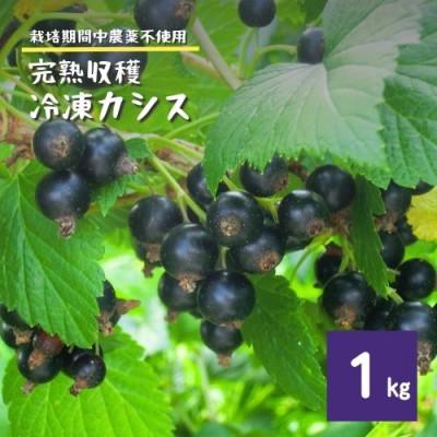 ふるさと納税 遠野市 冷凍 カシス 1kg 完熟収穫 栽培期間中 農薬不使用 農家 直送 / 遠野もぐもぐカントリー