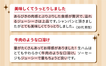 生ウインナー 5種 30本 + 生ハム 50g 詰め合わせ セット 糸島 / 糸島手造りハム [AAC004] 贈答 ギフト BBQ 焼肉 お中元 お歳暮 人気 贈り物 おつまみ 熨斗 ウインナー ソ