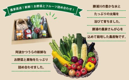 阿波かつうら農産物　満足セット