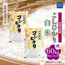 【ふるさと納税】令和6年産 真室川町 コシヒカリ ［白米］ 60kg 定期便（10kg×6回お届け）