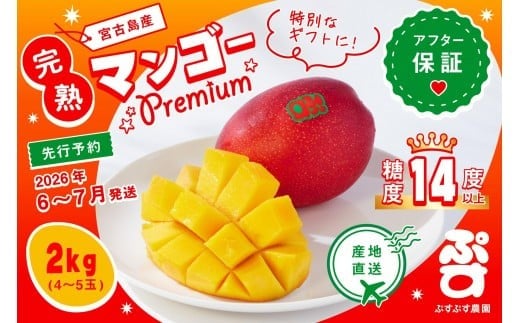 【ぷすぷす農園】＜2026年発送先行予約＞宮古島産完熟マンゴープレミアム（贈答用／2キロ／農園直送）(KY004)