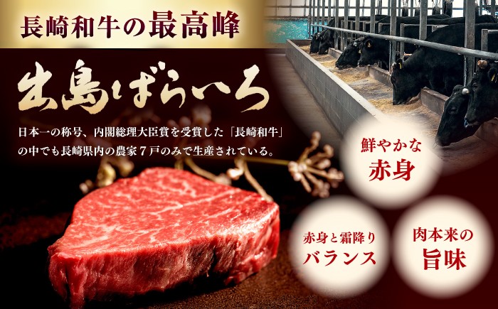 国産 ヒレ ステーキ 牛肉 ヒレ ひれすてーき フィレ ヒレステーキ すてーき A5 九州 長崎和牛