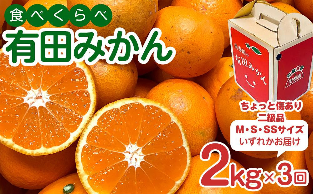 【 4年間 有田みかん 3種 食べくらべ ／ 全12回 】 ちょっと 傷あり 2kg × 3回 × 4年 コース 南泰園 みかん