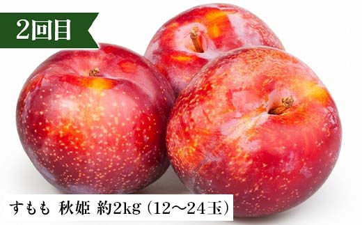【定期便 3回】桃から始まる満足定期便(1) 桃 もも 白桃 すもも 秋姫 シャインマスカット 果物 フルーツ 山形県 中山町 F4A-0451