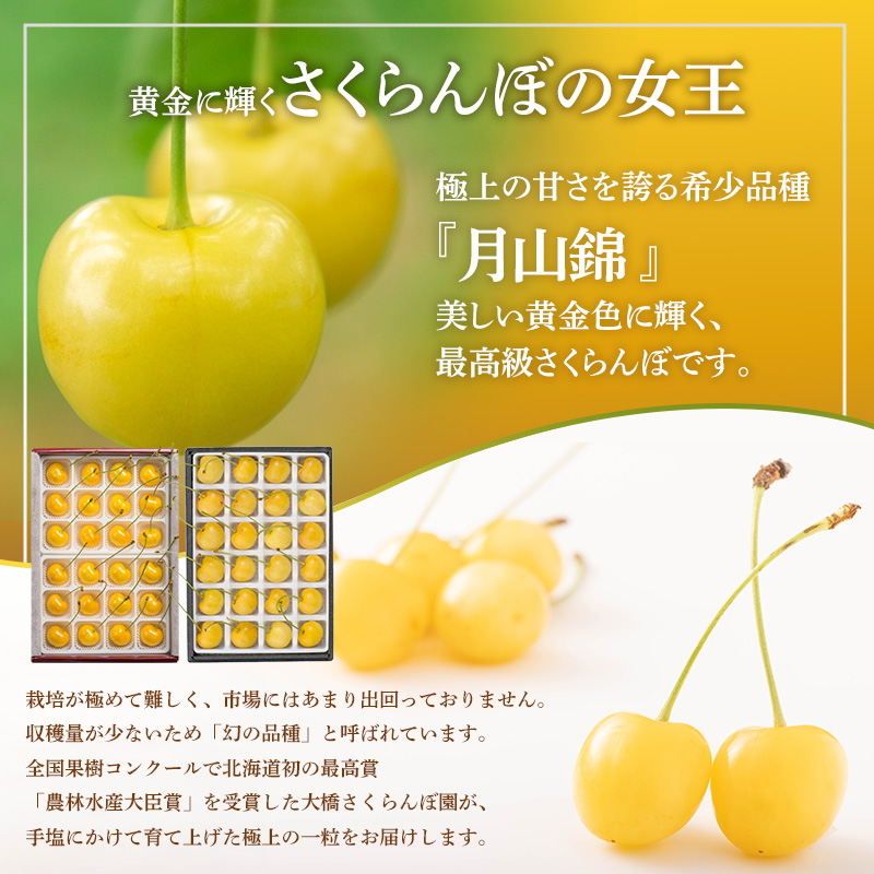 【先行予約】さくらんぼ 月山錦 スペシャル 48粒 化粧箱入 