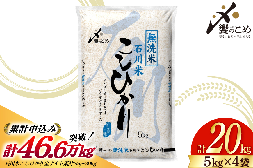 米 令和8年 無洗米 こしひかり 精米 5kg 4袋 計 20kg [中橋商事株式会社 石川県 宝達志水町 38601425] お米 こめ コメ 令和8年産 コシヒカリ 白米 ごはん ご飯 5キロ 20キロ 時短 むせんまい 能登 石川