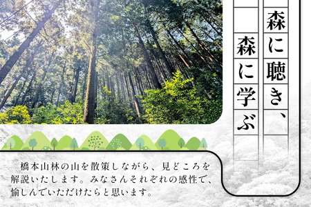 【橋本山林】一日一組限定ツアー（1～9月）1名様 【徳島県 那賀町 ツアー イベント 現地体験型 体験 旅行 グループ 限定 仲間 社員研修 環境学習】NM-11