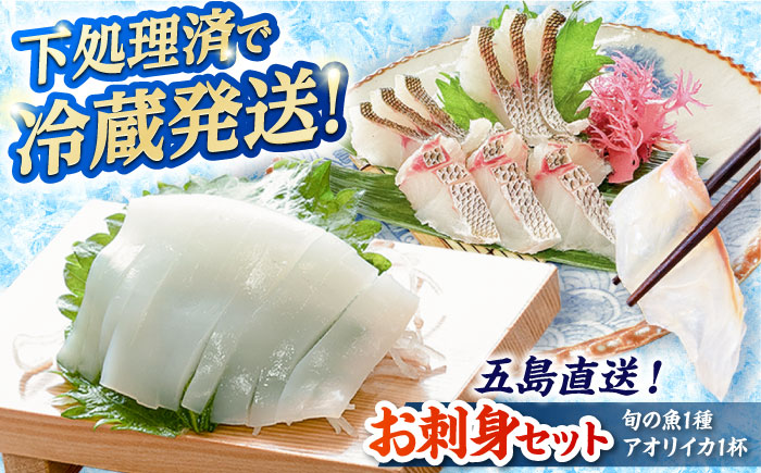 金澤仕立て 鮮魚ボックス（旬の魚1種・アオリイカ）五島市/金沢鮮魚 [PEP001]