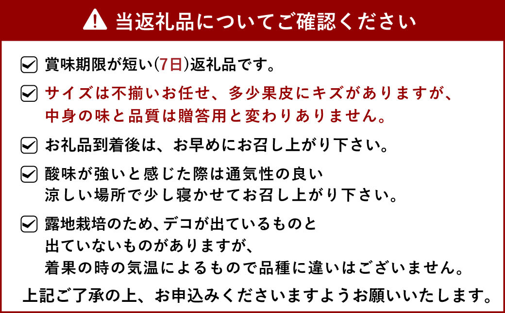 不知火 約10kg（40玉前後）ひがし果樹園 柑橘 果物