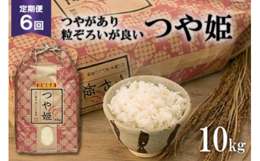 
            6回 定期便 米 宮城県産 つや姫 10kg ×6回 総計 60kg [菊武商店 宮城県 気仙沼市 20564927] お米 こめ コメ 白米 精米 ブランド米 ご飯 ごはん 小分け 家庭用 6ヶ月 レビューキャンペーン 感想
          