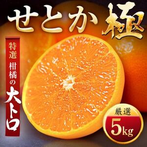 「夕やけブランド」柑橘の大トロ!【せとか】5kg【G49-79】【1621091】