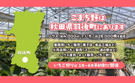 秋田県 羽後町産  冷凍いちご 2kg（500g×4）国産 イチゴ ジャム スムージー お菓子づくり 果物 フルーツ 冷凍果物 冷凍フルーツ そのまま トッピング フローズンイチゴ ストロベリー 
