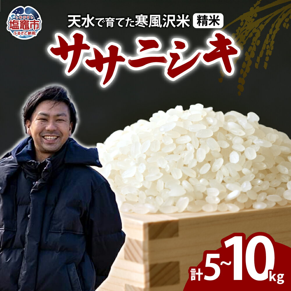 【ふるさと納税】【先行予約・11月発送開始】 宮城県 塩竈市 産 ササニシキ 精米 5kg 10kg 選べる 新米 国産 ブランド米 人気の希少品種