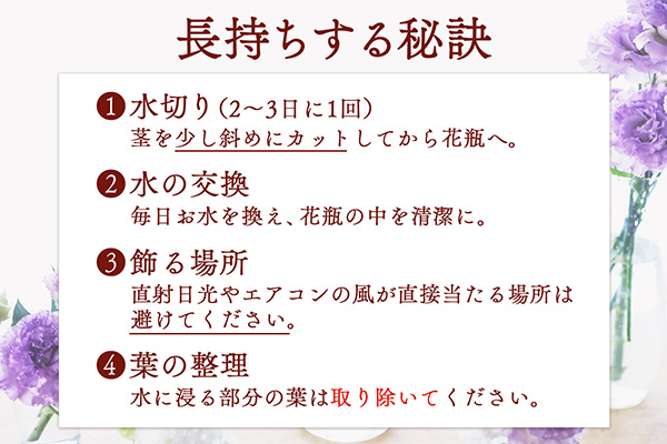 【R8.9月下旬発送】トルコギキョウ 10本 切り花 生産者おまかせ 2~3色ミックス トルコキキョウ 八重咲き フリンジ咲き 生花 花束 冷蔵便 国産 庄内町フラワーラボ