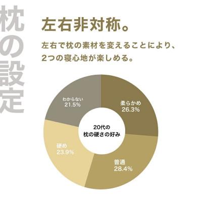 ふるさと納税 我孫子市 20代向けの枕 THE PILLOW Preset 17 20s |  | 01