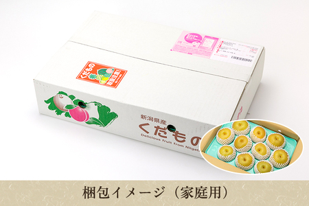 【2026年先行予約】しらい農園の和梨 豊水 家庭用5kg（8～18玉） 《9月中旬～順次発送》