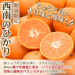 ＜先行予約受付中！2026年12月以降順次発送予定＞＜期間・数量限定＞西南のひかり(約5kg) 国産 鹿児島県 阿久根市 果実 果物 フルーツ 柑橘 みかん ミカン デザート 酸味 甘味 期間限定 数