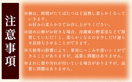 【2026年10月下旬より順次配送】次郎柿 3kg 高知県 香南市 果物 くだもの フルーツ 柿 かき カキ nm-0003