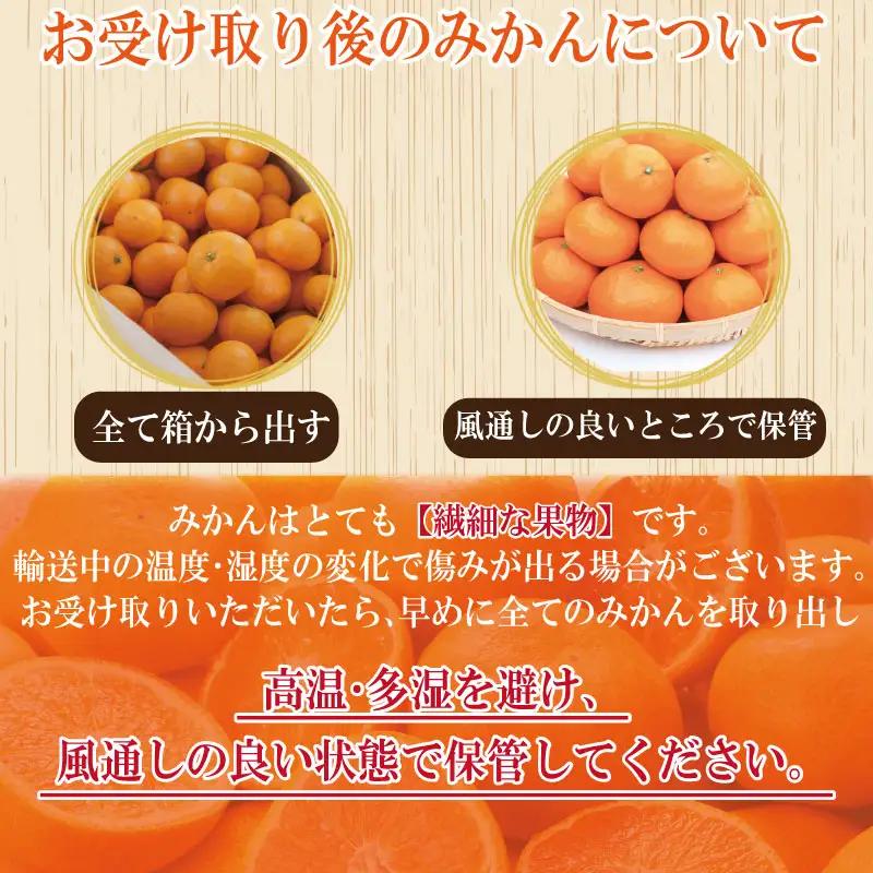 【2026年12月順次発送】温州みかん 3kg 完熟 みかん
