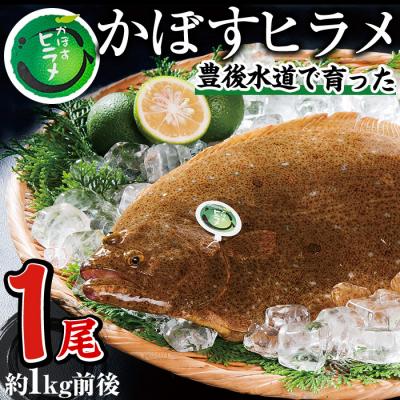 ふるさと納税 佐伯市  かぼすヒラメ (1尾・約1kg前後)
