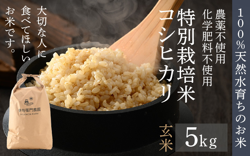 
                  【先行予約】【令和8年産 新米】伊与衛門農園のコシヒカリ 玄米 5kg 特別栽培米 化学肥料不使用  ＜温度と湿度を常時管理し新鮮米を出荷！＞／ 高品質 鮮度抜群 福井県あわら産 ブランド米 お米 ※2026年9月下旬より順次発送予定 [aw071-a008]
                
