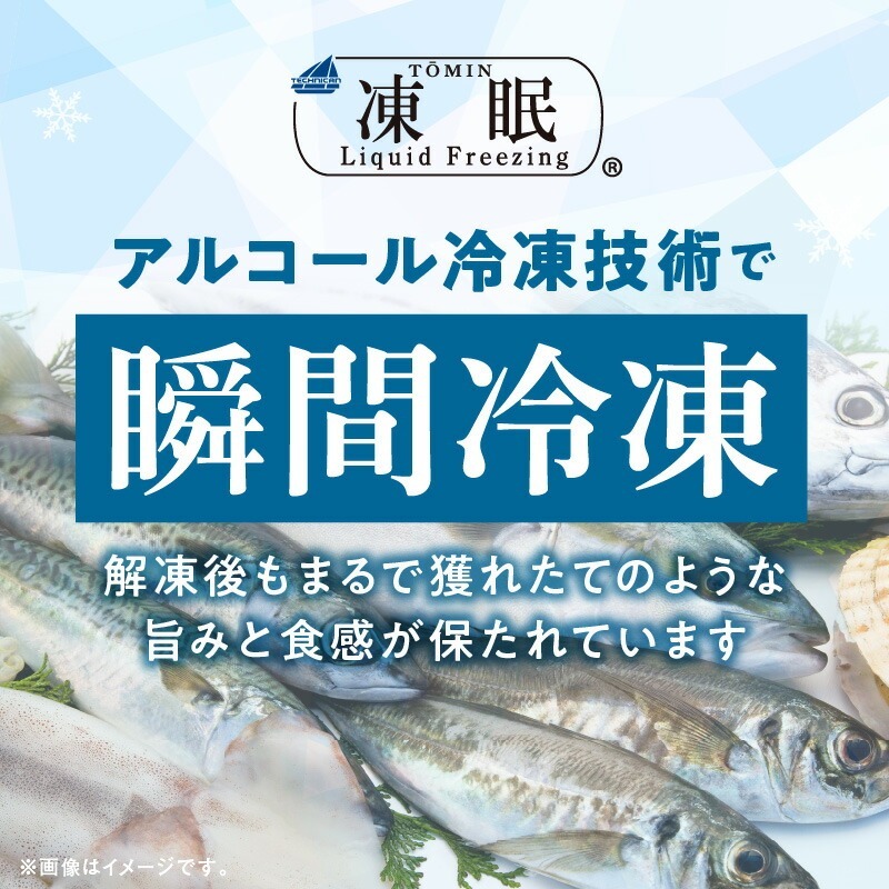 【至福の海の恵み】贅沢グルメキャットフード　N072-YA0398