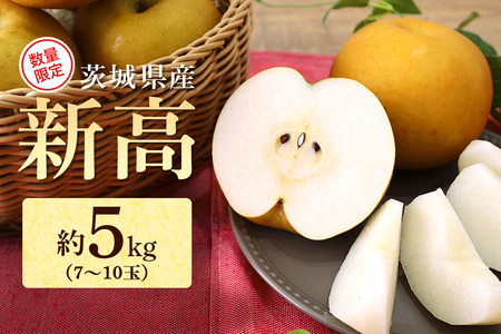 【数量限定 / 夏季限定】 梨（新高）約5kg 梨 なし ナシ 日本梨 にいたか ニイタカ 17-Y 【9月中旬以降発送予定】