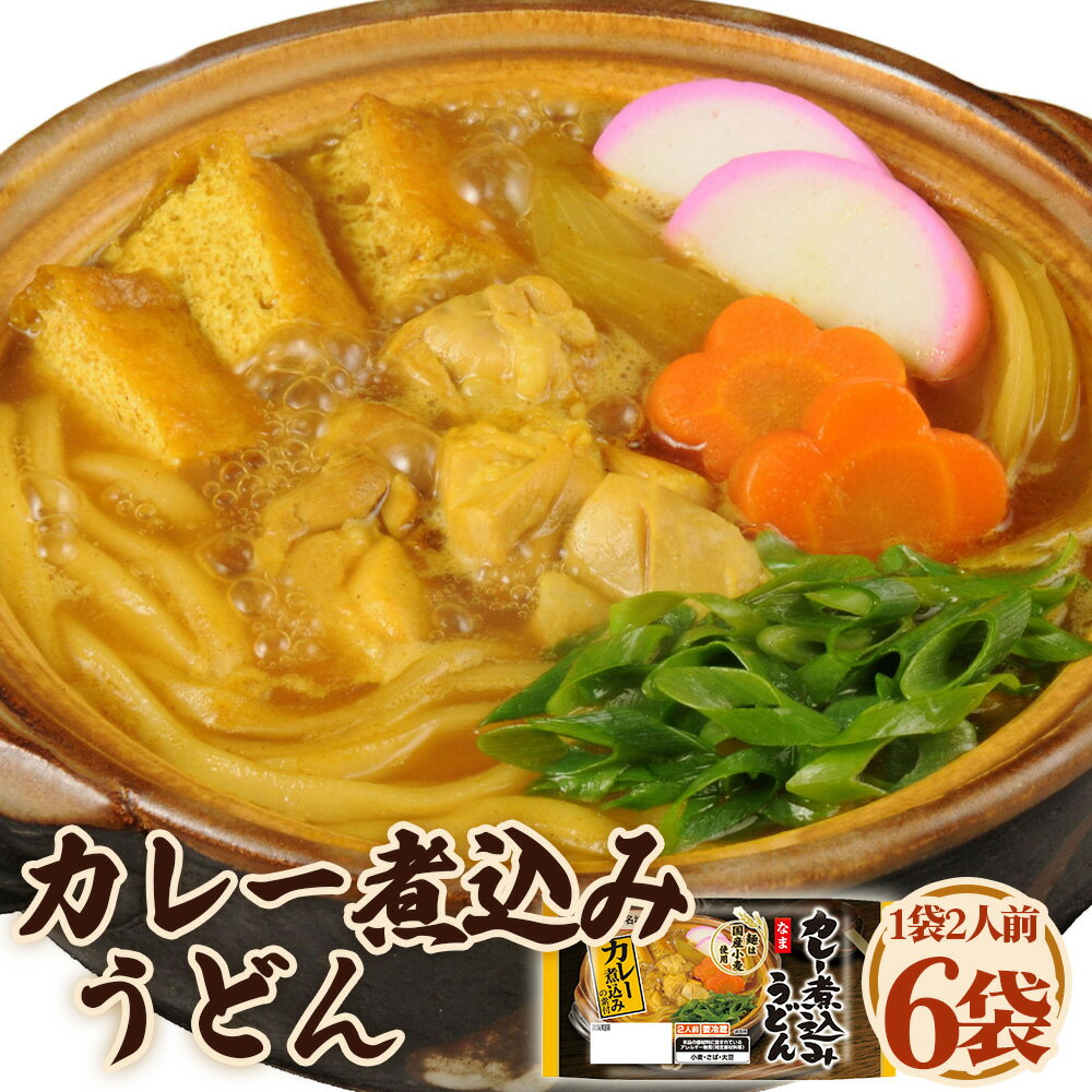 【ふるさと納税】 カレー煮込みうどん 2人前 6袋 ／ カレーうどん 煮込み 和風出汁 かつお スパイシー 麺 太麺 国産小麦 硬め コシ 濃厚 昼食 夕食 夜食 お取り寄せ 料理 愛知県 AI005