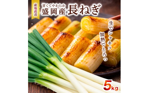 長ネギ 5kg 岩手県盛岡市産 ねぎ 白ネギ 葱 野菜 新鮮 国産 産地直送 農家直送 ながねぎ 白ねぎ 旬の野菜 旬 甘い 美味しい おいしい 鍋 薬味 味噌汁 焼き鳥 煮物 炒め物 料理 調理 備蓄 保存 自宅用 産直 厳選 滝澤農園直送 とれたて シャキシャキ 岩手県 盛岡市 東北 岩手 盛岡 滝澤農園