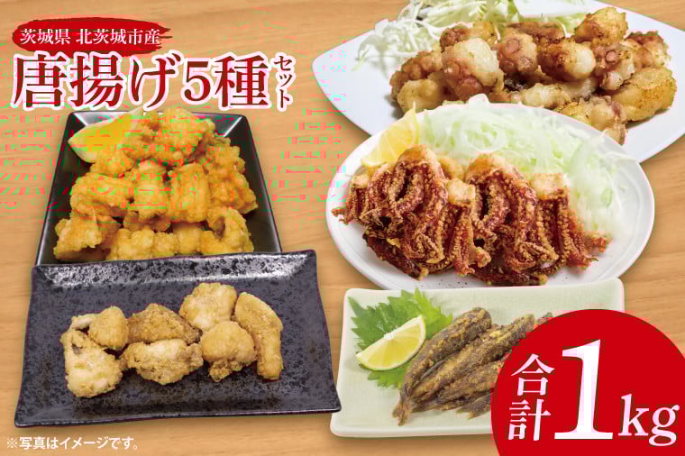 
            唐揚げ５種セット（メヒカリ、いか、アンコウ、穴子、タコ）【めひかり イカ あんこう あなご たこ 唐揚げ からあげ 魚 海産物 茨城県 北茨城市 冷凍 惣菜 おかず 25000円以内】(CU004)
          