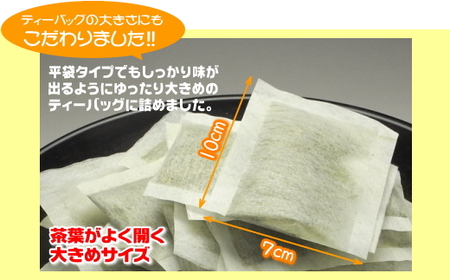 038-2 ホットもアイスも美味しく作れる♩緑茶ティーバッグ合計200個