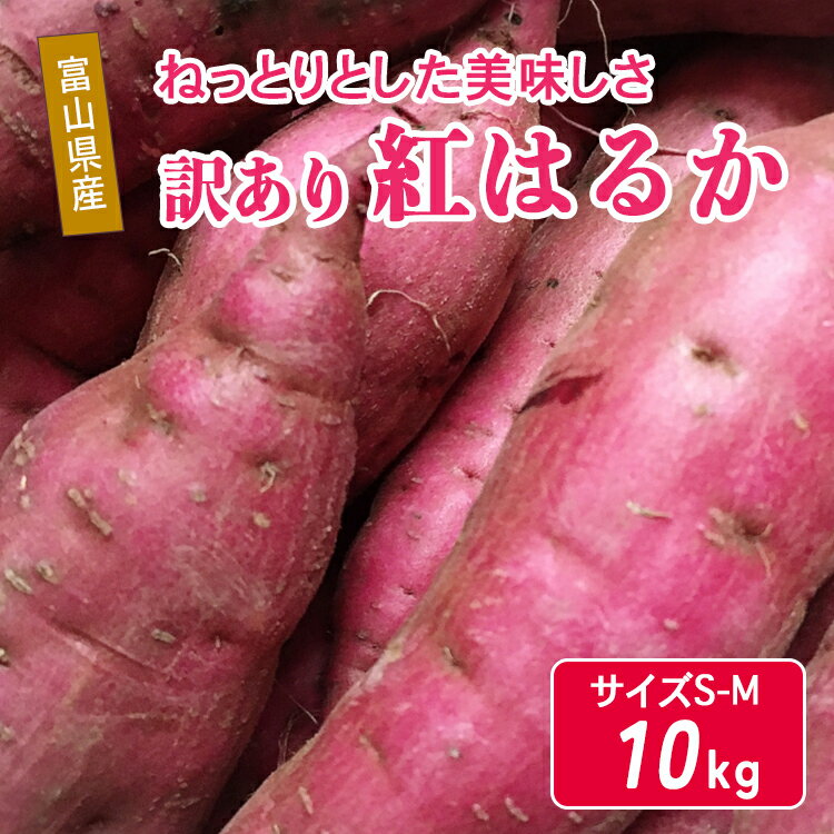 【ふるさと納税】富山県魚津産さつまいも 紅はるか 10kg 傷アリ訳アリ サイズS-M｜長引野 黒ボク土 ねっとり 土付 ※北海道・沖縄・離島への配送不可