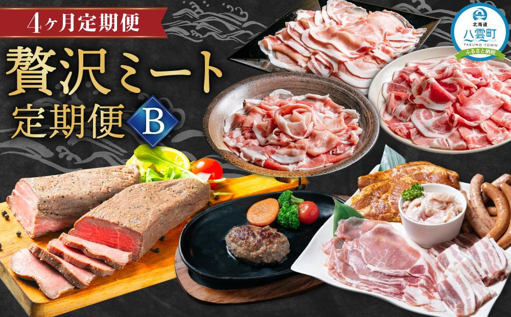 
【定期便】贅沢ミート定期便B【 豚肉しゃぶしゃぶ ローストビーフ バーベキューセット ハンバーグ 牛肉 豚肉 肉 肉セット 肉加工品 定期便 食品 グルメ お取り寄せ お取り寄せグルメ 人気 おすすめ 送料無料 八雲町 北海道 】
