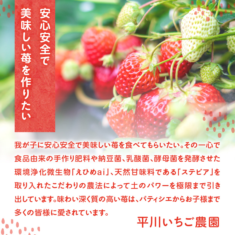 ★予約受付★平川いちご農園【2026年1月～5月 順次配送】玄海町産いちご（家庭用・訳あり）4kg ／ 送料無料 いちご さがほのか いちごさん 希少 果物 くだもの フルーツ デザート 予約受付 4