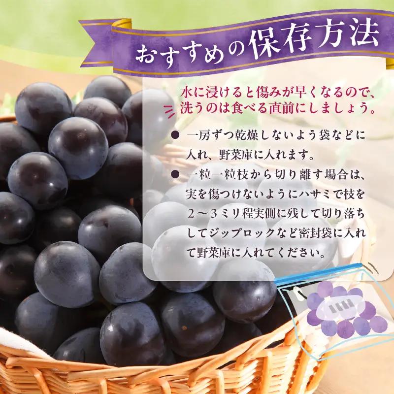 【山梨県山梨市産】ピオーネ 約2kg 種なしピオーネ ぶどう