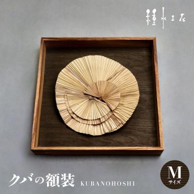ふるさと納税 伊平屋村 クバの額装KUBANOHOSHI(黒木目)Mサイズ