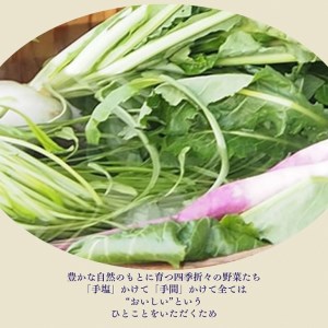 【定期便】《近為》四季の味わい 京つけものお楽しみ頒布会(漬物コース)※全5回 京野菜 漬物 野菜 漬物 京都 漬物 詰め合わせ 亀岡 漬物