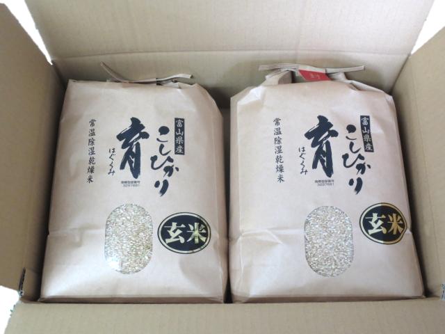 【令和6年産】富山県産こしひかり　育（はぐくみ）玄米　5キロ×２個セット《南砺の逸品》