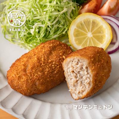 ふるさと納税 宮崎市 マンテンミートンのメンチカツ　計16個 |  | 03