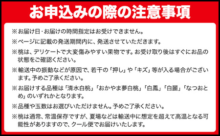 【2026年先行予約】岡山の白桃 等級 エース 約1.5kg(5～6玉) 清水白桃 おかやま夢白桃 白鳳 白麗 なつおとめ 晴れの国 岡山農業協同組合 鴨方支店 《7月上旬-7月末頃出荷》岡山県 浅口